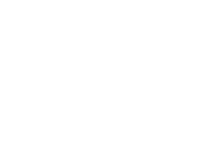 aides & services 87